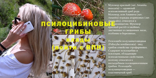 винт Балахна