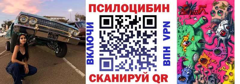 купить  цена  Ханты-Мансийск  Псилоцибиновые грибы Psilocybine cubensis 